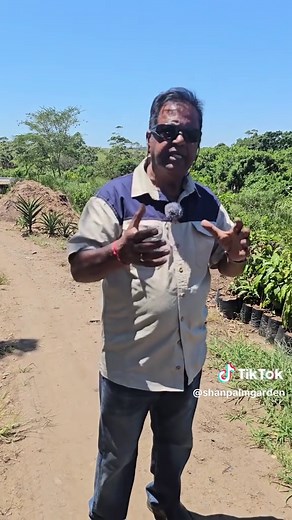 The Importance of Indigenous Plants for Your Garden