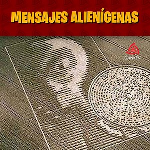 594K views · 10K reactions | ¡Los mensajes alienígenas más sorprendentes!  | Dankev | Facebook