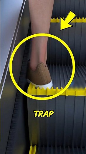 Why Escalators Actually Have Brushes (It’s Not for Your Shoes!)