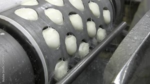 Production process of mozzarella cheese, cheese making process. Cheesemaker, showing freshly made mozzarella