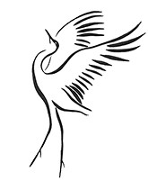 MICHAEL FORSBERG photography — Workshops