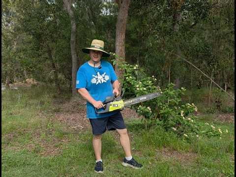 building an obstacle course - episode 2 - Digging holes and playing with wood