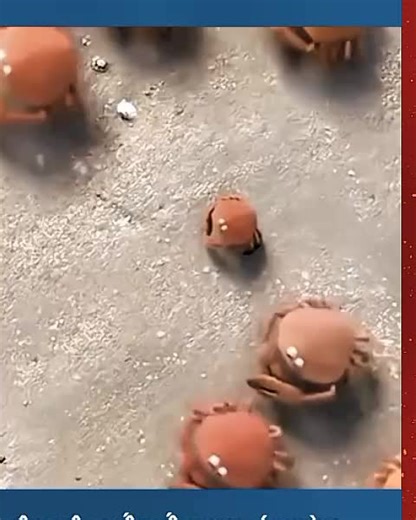 hoạt hình vui nhộn