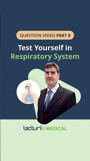 What Happens to Your Airways in COPD?