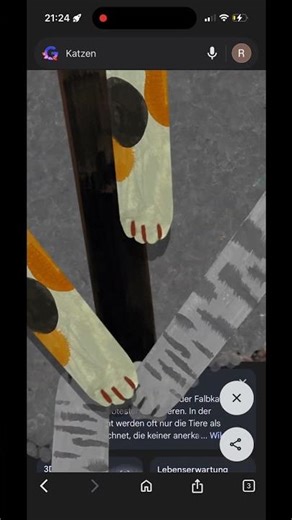 Let’s go full screen ￼