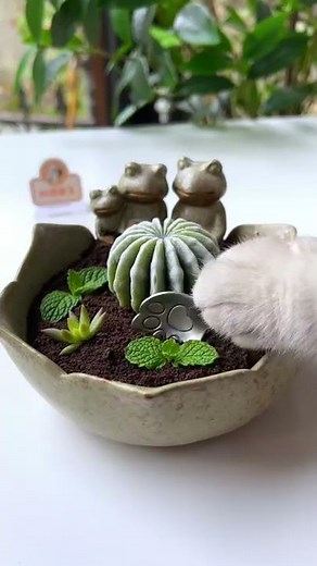 Smart Cat Makes Cactus Pudding! 🌵You can eat it! | Creative Dessert Recipe | Cute Cat TikTok #Shorts