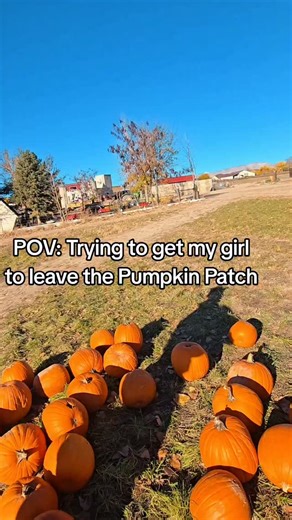 10K views · 3K reactions |  Patch #Halloween #halloweencostume #comedy #funny #pumpkinpatch | Busandbunny | Facebook