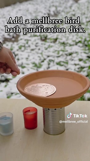 Keep Birdbaths Unfrozen: A Simple DIY Solution