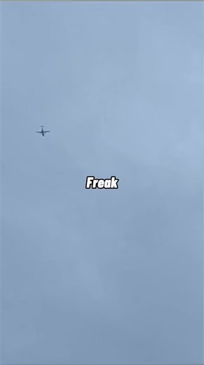 洋楽和訳 Avicii 〜Freak〜 #洋楽和訳#avicii#freak