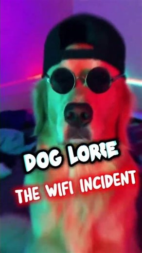 Sus dog showing who is boss #funny #viral #memes #edit #cute #animals #facts