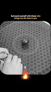 The CSS Point on Reels