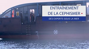 21K views · 1.1K reactions | Depuis sa création en 1945, la Cellule...