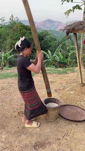 This is the traditional way of pounding rice used by the Kummu tribe in Laos.