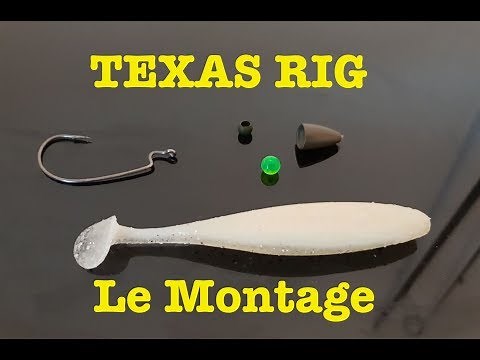 TEXAS RIG Montage, conseils et action de pêche