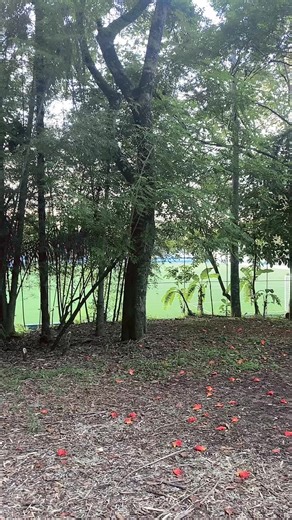 Os vídeos de Marina❤️Barreto (@marinollete) com Goodbye Stranger - Remastered 2010 - Supertramp