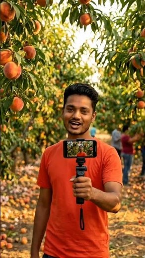 Amazing Peach Garden Tour 🍑 | Fresh & Juicy Fruits | Village Life Vlog