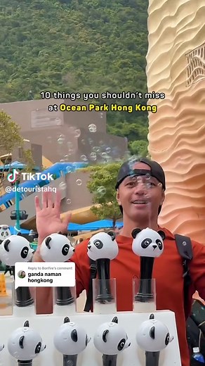 Explore Ocean Park Hong Kong: Pandas and Penguins Await!