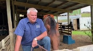 1.9K views · 92 reactions | There is no horsing around inside Ian's bubble! | Forgotten World Adventures | Facebook