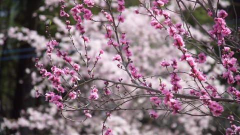 Rita C. Peters RN Obituary 2026 - Betz, Rossi Bellinger & Stewart Family Funeral Home