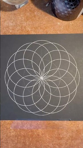How to draw a torus from above or the Lotus of Life