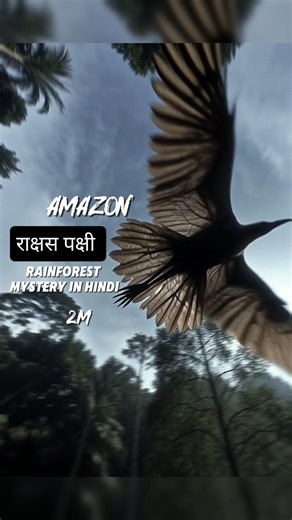 राक्षस पक्षी | amazon rainforest mystery in Hindi #shorts