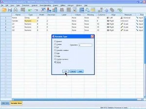 SPSS 19 Training : Defining a Variable Type