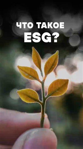 Что такое ESG? #esg #экология #бизнес #агробизнес