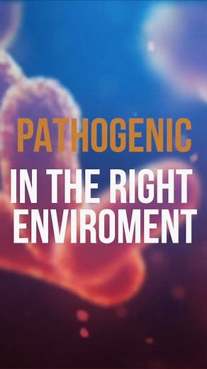 Milk Is Dangerous? 🥛 The Truth You Should Know! Think milk is harmless? Think again. 🧠 In this post, we’re breaking down why not all dairy is created equal — and what to know before your next sip. #RawMilk #Healthy #Keto #EatingHealthy #DairyFree #NutritionFacts #HealthWarning #WellnessTips #FoodTruths #GutHealth | Diet & healthy By Dr