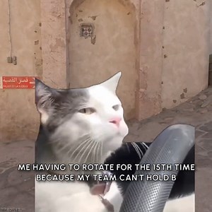 How often do you rotate in CS2? -- Follow us for more! Use code "social" on tradeit.gg for a 35% top-up Bonus. -- #csgo #counterstrike #csgomemes #csgomeme #csgovideo #csgoknife #csgoplayer #csgoskin #csgofunny #csgofun #csgofunnyclips #karambit #csgoclip #cs #counterstrikeglobaloffensive #csgovideos #steam #valve #csgoskins #esports #csgogiveaway #navi #gaben #globaloffensive #cs2 #counterstrike2 | Tradeit