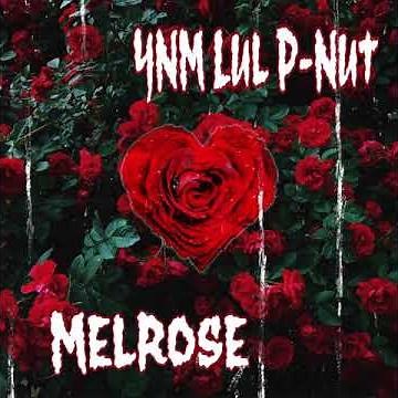 YNM Lul P-Nut ~ MelRose (Official Audio)