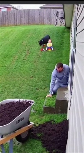 A Rottweiler and its Owner go Crazy and do Random Things! 😂​😂​