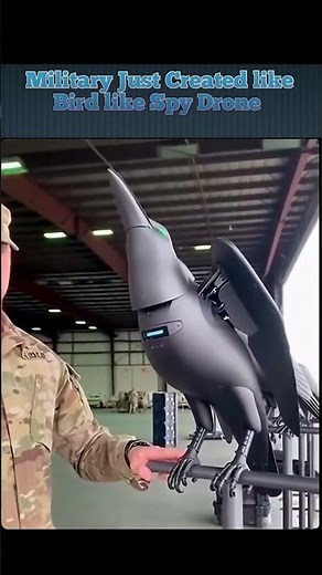 Spy Bird 🕊️ Dron 🦅🐦‍⬛#drone #drones