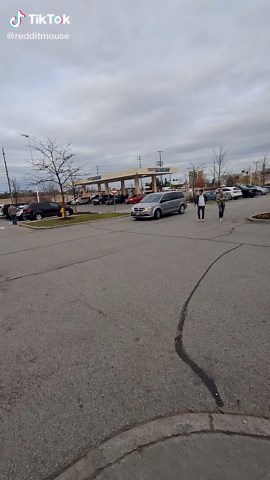 Literal Mouse 🇨🇦 (@redditmouse)’s videos with original sound - Literal Mouse 🇨🇦