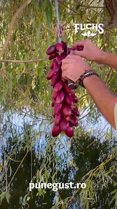 32K views · 164 reactions | Primăvara este dedicată zilelor mai lungi...