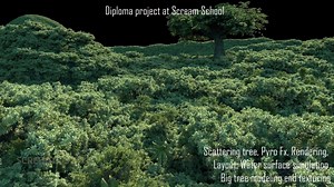 Simulating Smoke & Populating Forests in Houdini