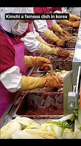 how kimchi prepared in south korean factory 😱 in large quantities