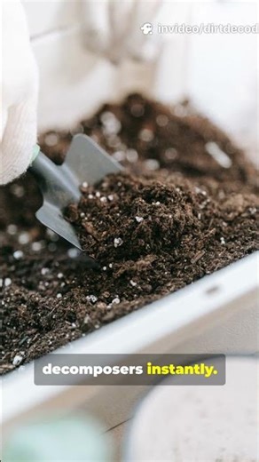 The Secret Layer That Makes Compost Twice as Fast