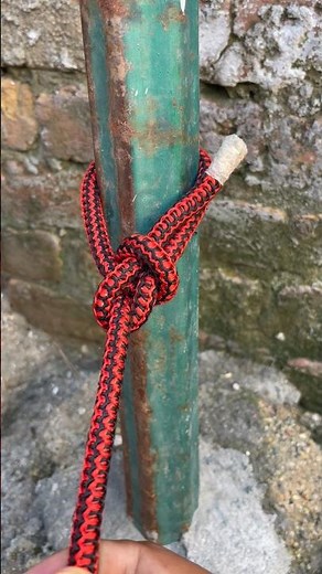 The King 👑 of knots #bowlineknots #knot #gtknot #rope