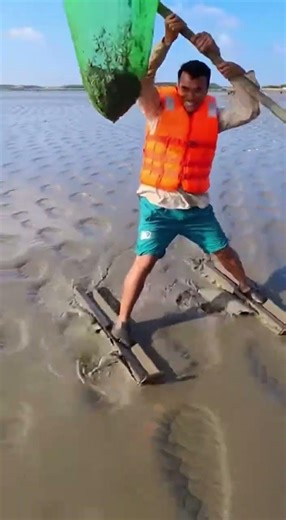 Ep. 452: Rainy Season Fishing - Catching Fish After Heavy #WildRiverPOV #NatureShorts #AnimalWorld