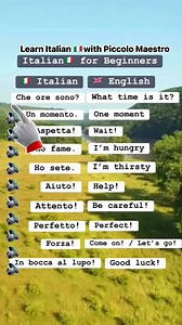 53K views · 1.7K reactions | Learn Italian with Piccolo Maestro (Learn Italian for Beginners) #LearnItalian  #ItalianLanguage #ItalianLessons #ItalianForBeginners #ParlaItaliano #SpeakItalian #ItalianPhrases #ItalianVocabulary #StudyItalian #LearnItalianOnline #ItalianDaily #ItalianGrammar #FluentItalian #LanguageLearning #LearnLanguages | Piccolo Maestro | Facebook