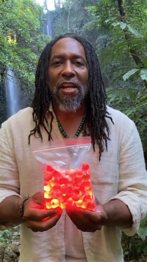 My father Dr Sebi was locked away for discovering these red gummies😳! #alkaline #vegan #alkalinevegan #food #diet #healthyfood #drsebi #drsebiapproved #drsebirecipes | Doc Vital