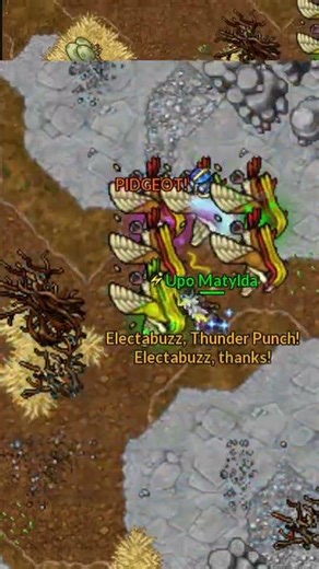 Shiny Pidgeot 221 balls | #pxg #pokexgames #poketibia #matyldpxg #Twitch #shorts #shiny #pidgeot