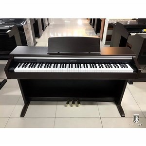 Casio AP220