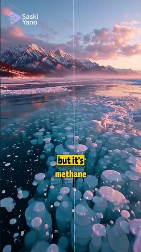 Lake Abraham The Frozen Methane Bubbles of Alberta ❄️🔥