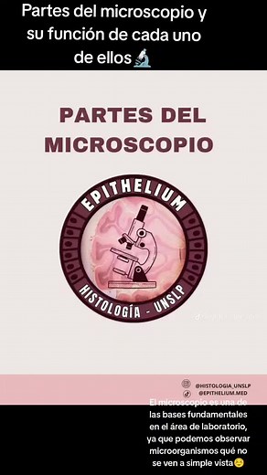 Partes del microscopio y sus funciones esenciales