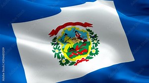 West Virginia State flag video waving in wind. Realistic US State Flag background. ‎Clarksburg West Virginia Flag Looping closeup 1080p Full HD 1920X1080 footage. West Virginia USA United States count Stock Video