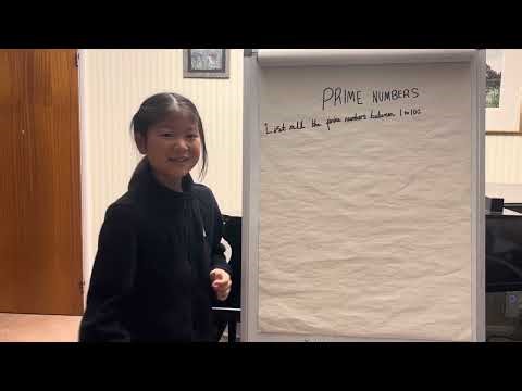 Prime Numbers - the Reasoning and Solution