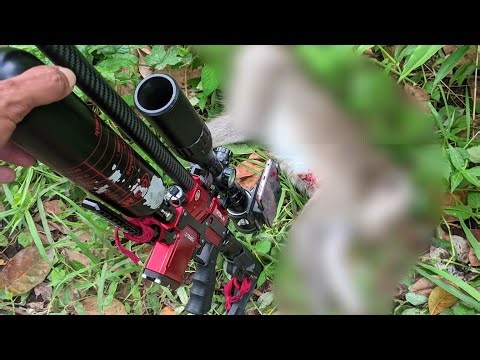 Pest Control di Kebun Kacang bersama #goblinxtrabig By #gs88