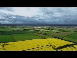 ✨ Stunning Drone Footage of Ireland's Lush Countryside | Golden Rapeseed Fields in Full Bloom