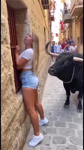 Bull Corners Beautiful Tourist — Seconds Later, Nobody Could Believe Their Eyes  (check in the first comment) 676546 | The Nancy | Facebook